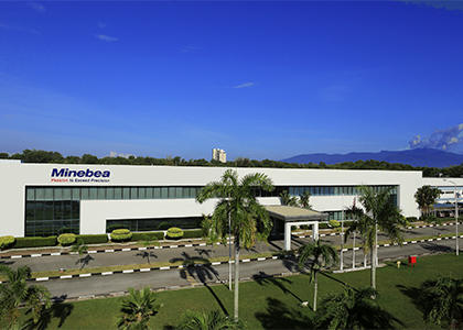 Photo of Malaysia Plant