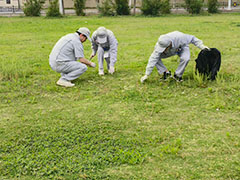 清掃活動の様子2