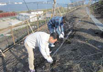 画像：植樹の様子