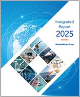 figure: Integrated Reports