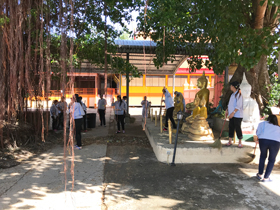 image : Cleanup activity