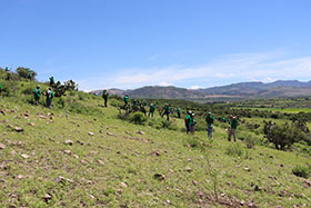 Scene from the cleanup day.