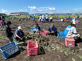 Volunteering at the Japan No.1 Imoni Festival (1 of 3).
