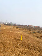 The scene before planting trees.