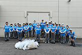 Scene from the cleanup day