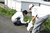 Scene from the cleanup day