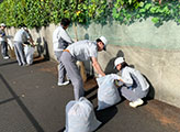 Scene from the cleanup day