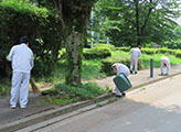 The cleanup activity in progress