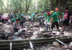 image : Volunteers join a project to plant trees and build water catchments for elephants