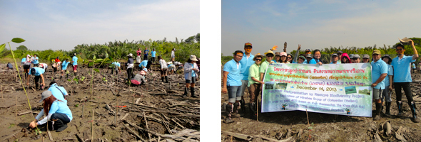 image : Minebea employees participate in mangrove forest project