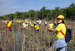 image : Minebea employees participate in mangrove forest project