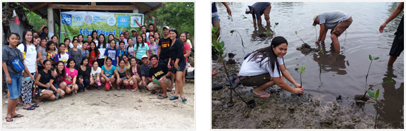 image : The tree-planting campaign