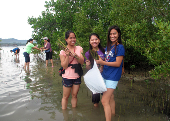 image : The tree-planting campaign