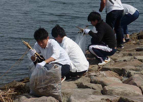 iamge : Cleanup activity