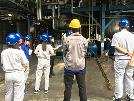 image : Observation of Waste Disposal Sites