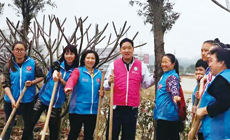 image : Employees volunteer for tree-planting activities
