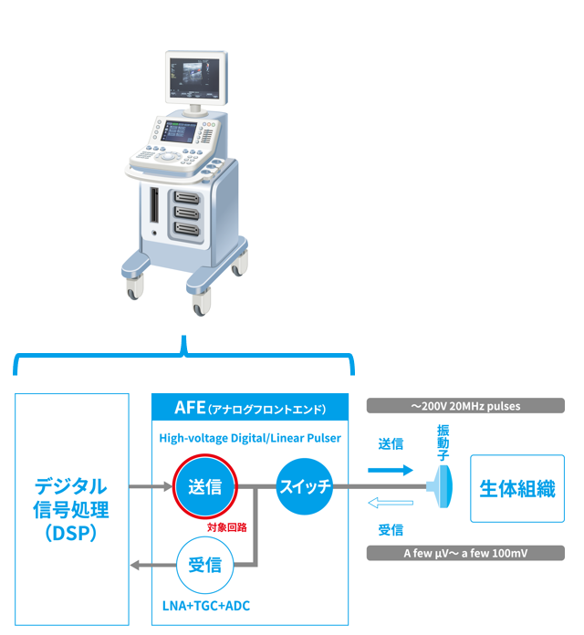 超音波診断装置デジタル信号処理イメージ